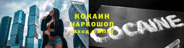 мет Няндома