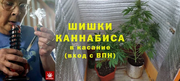 мет Няндома