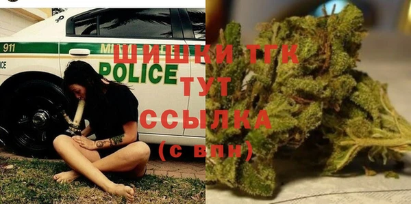 молекула духа Пестово