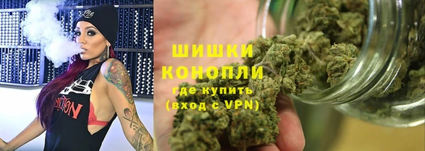 мет Няндома