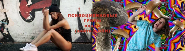 мяу мяу мука Нязепетровск