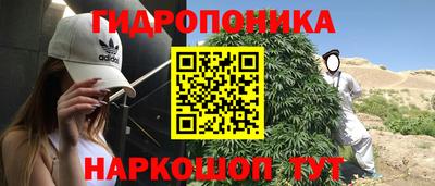 ешки Кинель