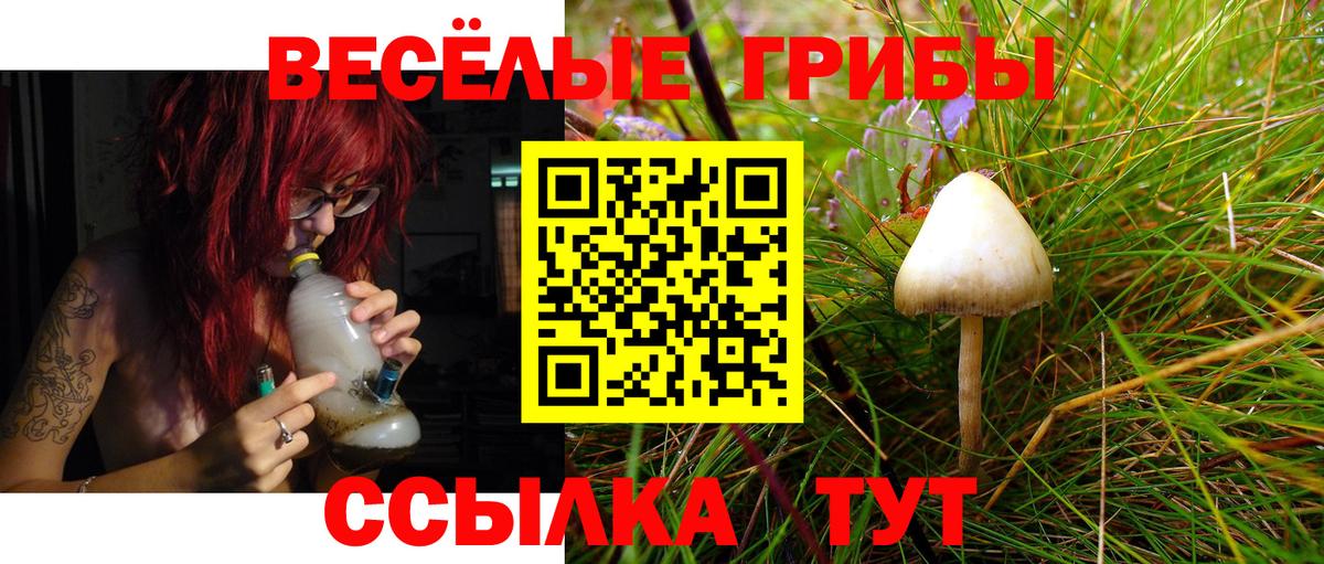 Галлюциногенные грибы прущие грибы Кондопога