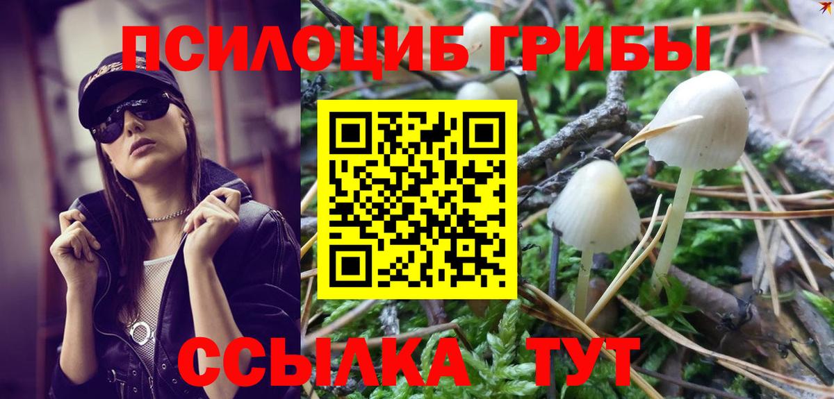 Галлюциногенные грибы прущие грибы  Галлюциногенные грибы ЛСД  Кондопога  Вход с VPN 